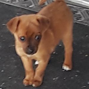 Meet your Posher, Angel j